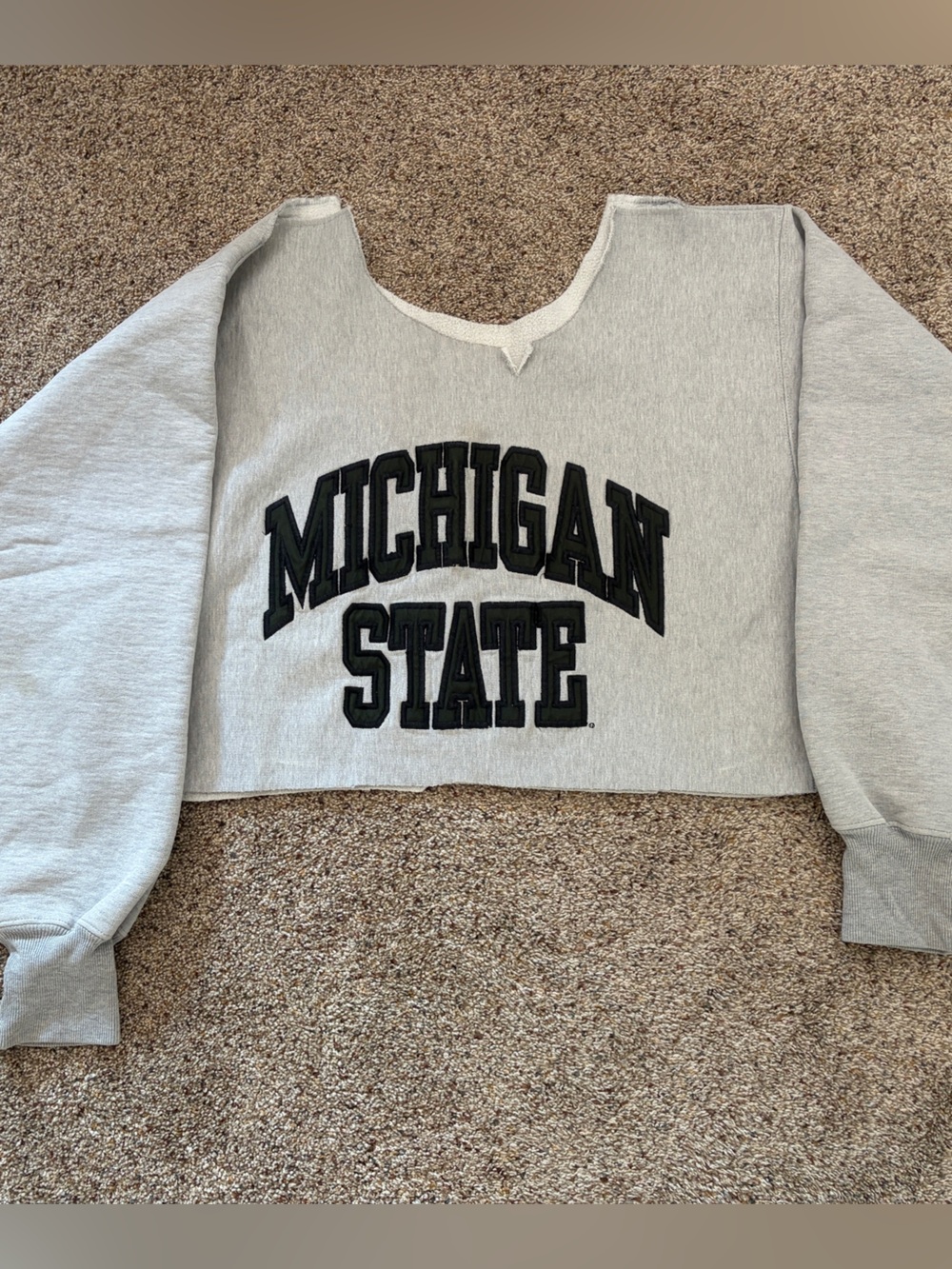 Vintage Michigan State Cropped Crewneck by Steve & Barry's